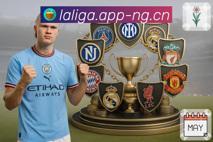 荣耀品牌的社会担当